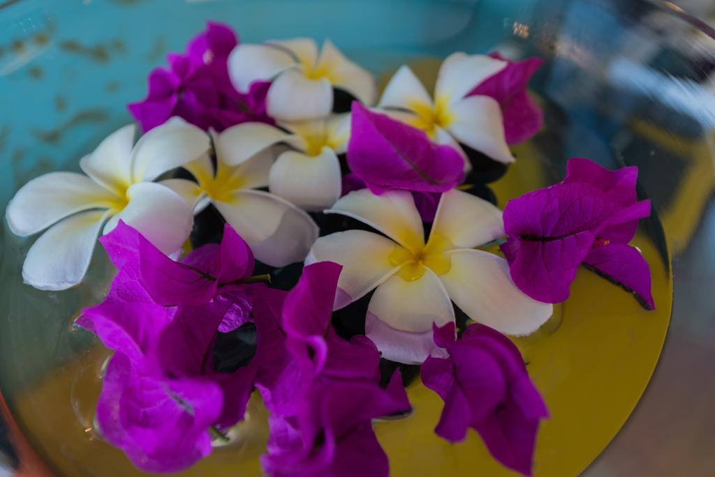 Villa Lodge 4 Epices Густавия Экстерьер фото